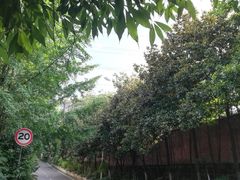 -重庆工商大学(南岸校区)