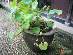 -马寅初故居
