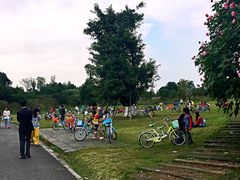 -白鹭湾湿地公园