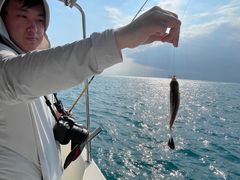 -小猫钓鱼海钓俱乐部(椰梦长廊店)