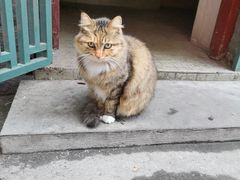 -上海交通大学医学院附属仁济医院(西院)