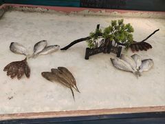 -潮州府·潮菜·砂锅粥(徐家汇店)