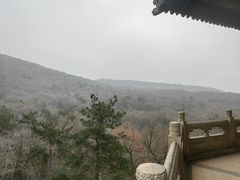 -灵谷景区
