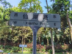 -深圳仙湖植物园