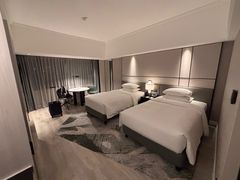 -新加坡乌节希尔顿酒店 (SG Clean)