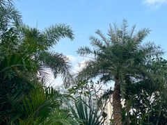 -庄子梦然·城市微度假·24h按摩·推拿·spa