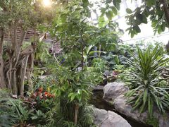 -北京植物园-展览温室