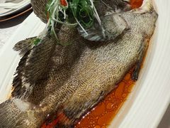 -南海渔村(珠江新城店)