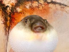 -永安鱼庄·镇江菜(东吴路店)