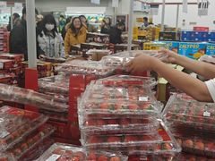 -山姆会员商店(亦庄创意生活广场店)