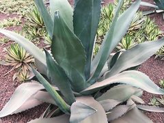 -南通洲际绿博园