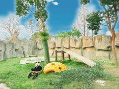 -上海野生动物园