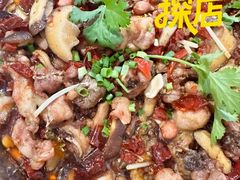 -食神又名厕所兔