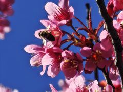 -云南师范大学(一二一西南联大校区)