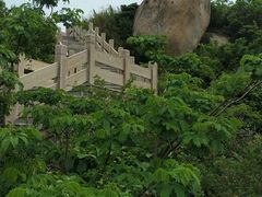-洋山深水港