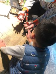 -酷嗒动物文化乐园(cutezoo西溪乐天城店)