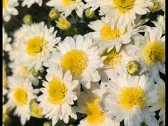 -中国天府农业博览园