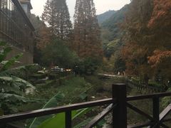 -宁海森林温泉