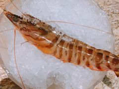 -雍和会海鲜姿造自助(湖东路店)