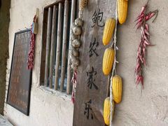 -老鲍农家乐