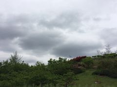 -秀丽东方