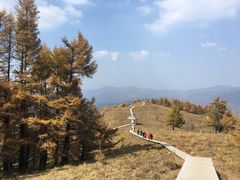 -驼梁风景区