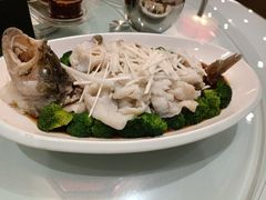 -八珍饺子·烤鸭·家常菜