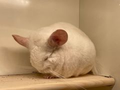 -龙猫仔乐园(惠福东路店)