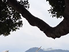 -欢乐海岸水秀剧场