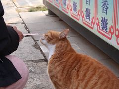 -回龙窝历史文化街区