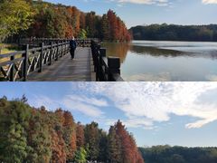 -海珠湖公园