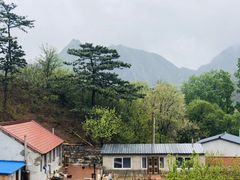 -凤凰山国家森林公园