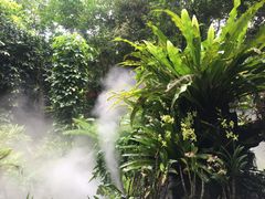 -呀诺达热带雨林