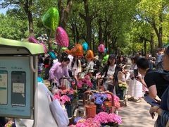 -上海鲜花港