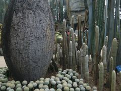 -南山植物园