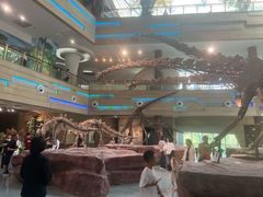 -安徽省地质博物馆