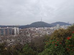 -佛山华盖山公园