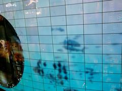 -迪拜水族馆及水下动物园