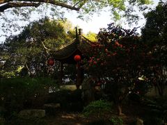 -上海醉白池公园
