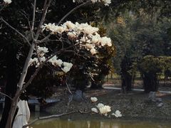 -堤角公园