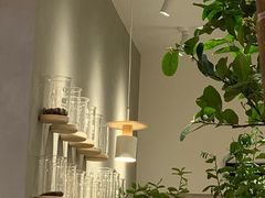 -树夏(金楠天街店)