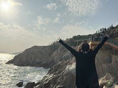 -广东惠东海龟国家级自然保护区