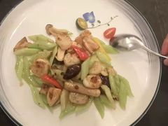 -宝燕壹号(长寿店)