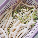 一人食没有鱼的各种杂蔬酸菜鱼