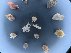 -中国湿地博物馆