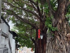 -三坊七巷历史文化街区