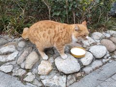 -贮水山儿童公园