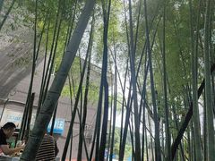 -金水泊山庄·花椒鸡(铁山坪店)