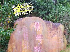 -广州市帽峰山景区