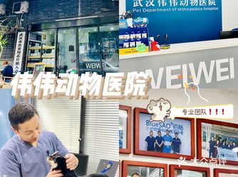 良心推荐的宠物医院|带毛孩子做个CT检查